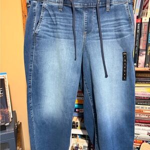 Torrid Blue Ankle & Cropped Jeans